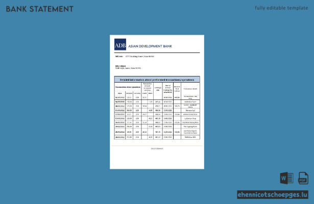 Beispiel für einen Kontoauszug der Palau ADB (Excel-Vorschau)
